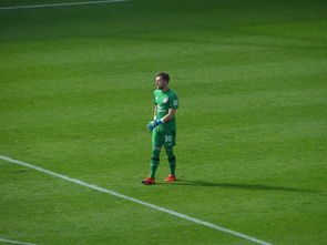 开云体育app-塞维利亚绝杀尤文，佩德里打破历史纪录